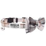 Personalized Breakaway Cat Collar with ID Tag