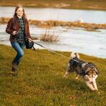 CROWN PAWS 16ft Retractable Dog Leash for Large Breed Dogs up to 110 lbs with a Detachable Chew Proof Extender Wire Ropes (Black L)