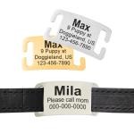 Slide-On Pet ID – Personalized Silent Tag for Dogs and Cats, No Jingle, Stainless Steel, Custom Engraved