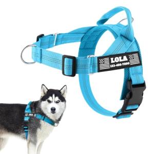 PETAILAUREL Nylon No-Pull Personalized Dog Harness with Customizable Hook-and-Loop Patches, Reflective Strip, Easy-On Design, Plastic Quick-Release Buckle (Blue)