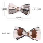 Personalized Breakaway Cat Collar with ID Tag