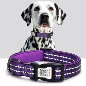 ilFindYou Reflective Dog Collar with QR Code Tag, Personalized Dog Collar, Safety Night Visibility, Anti-Loss Function (Purple, Medium)