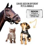 Slide-On Pet ID – Personalized Silent Tag for Dogs and Cats, No Jingle, Stainless Steel, Custom Engraved