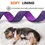 ilFindYou Reflective Dog Collar with QR Code Tag, Personalized Dog Collar, Safety Night Visibility, Anti-Loss Function (Purple, Medium)