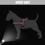 Didog Soft Flannel Padded Dog Vest Harness, No Pull/Quick Fit Reflective Dog Strap Harness, Easy for Training Walking (L:Chest 26-32", Pink)