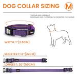 ilFindYou Reflective Dog Collar with QR Code Tag, Personalized Dog Collar, Safety Night Visibility, Anti-Loss Function (Purple, Medium)