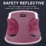 Dog Harness with Leash Set, No Pull Adjustable Reflective Step-in Puppy Pet Vest Harnesses for Small Medium Large Dogs and Cats,Green S