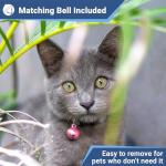 Personalized Reflective Cat Collar with Name Tag