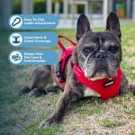 Best Pet Supplies Voyager Adjustable Step-in Flex Breathable Mesh Dog Harness for Small Medium Large Dogs (Red), S