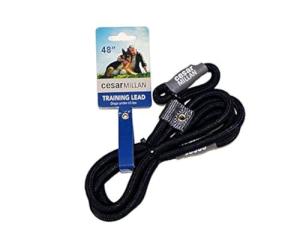 Cesar Millan Slip Lead Leash | Dog Leash | in Training Leash | (Regular, Black)