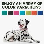 Rolled Leather Dog Collar Soft Round Collars, ID Tag for Small Medium Large Dogs (11-14 inch, Imperial Red)