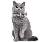 Personalized Breakaway Cat Collar with ID Tag