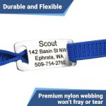 Personalized Reflective Cat Collar with Name Tag