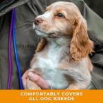 Dog & Field Signature Slip Lead for Dogs, Black. 4ft Lightweight Dog Slip Leash with Sliding Rubber Stopper. Training Lead for Dogs, Thin Slip Lead, No Collar or Harness Needed (Black)