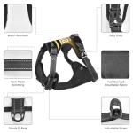 Custom Pittsburgh Dog Harness with Reflective Stripes Personalized Name and Number Dog Vest Harness with Pet Traction Rope for Small Medium Large Dog