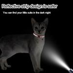 Reflective Adjustable Cat ID Collars with Bell