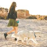 Retractable Dog Leash, Meekamar 30 FT Dog Walking Leash for Medium Large Dogs up to 77 lbs, Heavy Duty No Tangle, Large