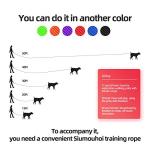 Dog/Puppy Obedience Recall Training Agility Lead - 15ft 20ft 30ft 40ft 50ft Training Leash - Great for Play, Camping, or Backyard - Red 20ft (20Feet, Red)