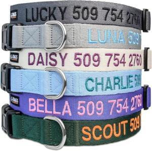 Personalized Dog Collar with Embroidered ID and Name