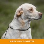 Dog & Field Signature Slip Lead for Dogs, Black. 4ft Lightweight Dog Slip Leash with Sliding Rubber Stopper. Training Lead for Dogs, Thin Slip Lead, No Collar or Harness Needed (Black)