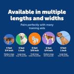 PetSafe Nylon Leash - Chew-Resistant Cat & Dog Behavioral Training Leash - Compatible with Easy-Walk Harness - Traditional-Style Reliable Pet Lead with a Padded Hand Wrap - 3/4" x 4' - Black