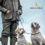 Dog & Field Signature Slip Lead for Dogs, Black. 4ft Lightweight Dog Slip Leash with Sliding Rubber Stopper. Training Lead for Dogs, Thin Slip Lead, No Collar or Harness Needed (Black)