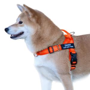 Custom No Pull Dog Harness with Name & Phone Number
