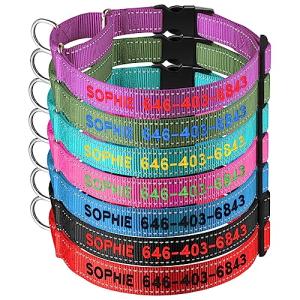 Custom Reflective Martingale Dog Collar with Name