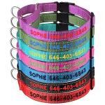 Custom Reflective Martingale Dog Collar with Name
