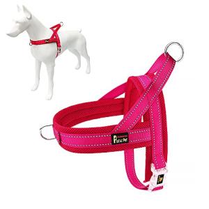 Adjustable No-Pull Dog Harness with Reflective Safety