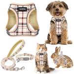 GAMUDA Soft Mesh Dog Harness and Leash Set