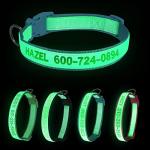 Personalized Reflective Dog Collar with Name ID