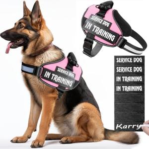Custom Reflective Service Dog Vest with Patches