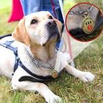 Emotional Support Animal ID Tag for Dogs
