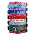 Personalized Dog Collar with Embroidered ID and Name
