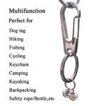 IVIA Pet Dog Tag Clips - 2 Pack, Stainless Steel