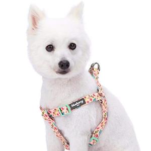 Pastel Pink Dog Harness with Rose & Butterfly Print