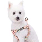 Pastel Pink Dog Harness with Rose & Butterfly Print