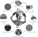 Adjustable Cat Harness and Leash Set - Grey