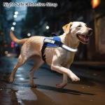 Custom Reflective Service Dog Vest with Patches