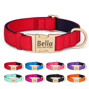 Personalized Colorful Dog Collar with Engraved ID Tag