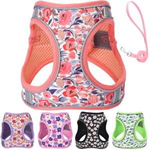 Adjustable No-Pull Harness and Leash Set for Small Dogs