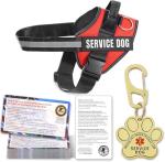 Service Dog Vest and ID Tag Set