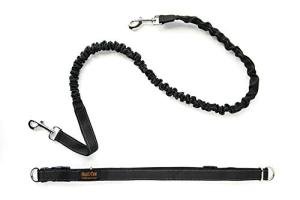 Mighty Paw Hands-Free Bungee Dog Leash