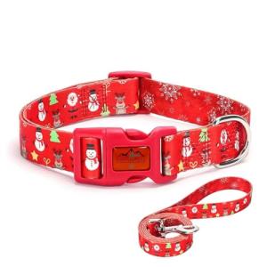 Festive Dog Collar and Leash Set for All Sizes