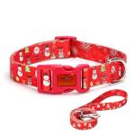 Festive Dog Collar and Leash Set for All Sizes