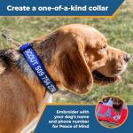 Personalized Dog Collar with Embroidered ID and Name