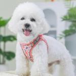 Adjustable No-Pull Harness and Leash Set for Small Dogs