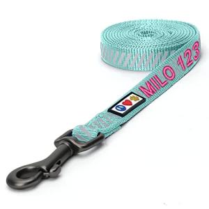 Personalized Reflective Dog Leash with Pet Name