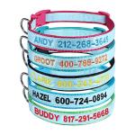 Personalized Reflective Dog Collar with Name ID